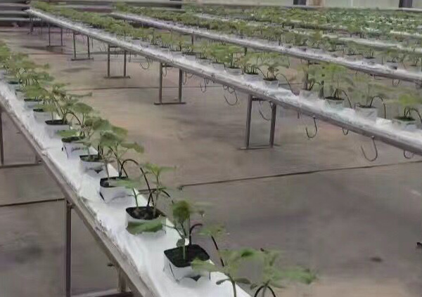 �r(n��ng)�I(y��)�r��