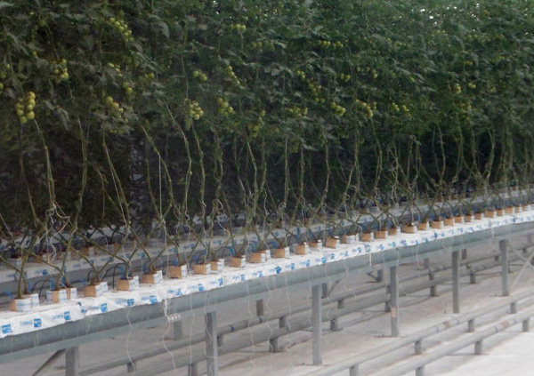 �r(n��ng)�I(y��)�r��